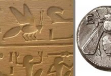 Το μέλι απο την αρχαιότητα μέχρι σήμερα