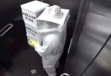 Φάρσα: Κλειδωμένοι στο ασανσέρ με αγριεμένες μέλισσες