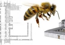 Η μέλισσα.. αρχιτέκτονας