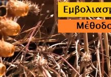 Σύστημα Αριστέας: Εμβολιασμός με το χέρι