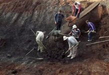 "Μελωμένοι άνθρωποι" και βατόμουρα 4.300 ετών διατηρούνται μέσα στο μέλι!