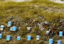 Η Παραπλάνηση