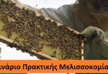 Σεμινάριο Πρακτικής Μελισσοκομίας αρχαρίων (15 & 16 Ιουνίου 2015)