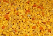 Τι προσφέρει η γύρη των λουλουδιών στην υγεία μας;