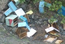 Φθιώτιδα: Τους έριξαν τα μελίσσια στο γκρεμό