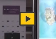 Εσπερίδα Γεωπονικου πανεπιστημίου Αθηνών στην Farmer Expo 2015