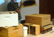 Μελισσοκομικό σχολείο στον Δήμο Αλμωπίας