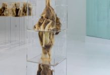 Χρησιμοποιεί μέλισσες και κατασκευάζει γλυπτά και χάρτες