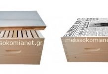 Συνένωση δύο μελισσιών με την μέθοδο της εφημερίδας