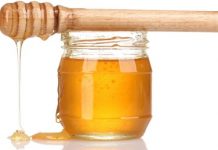 Βιολογική εκτροφή μελισσών