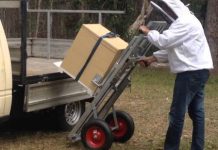 Μεταφορά και εγκατάσταση μελισσοκομείου