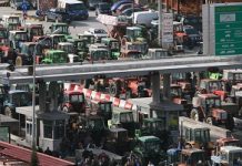 Πρόσκληση στους μελισσοκόμους για συμμετοχή στις αγροτικές κινητοποιήσεις