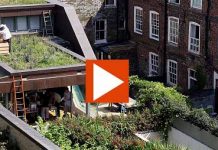 Αστική μελισσοκομία – Κάθε πόλη χρειάζεται υγείες μέλισσες