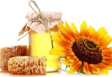 4 πράγματα που δεν γνωρίζατε για το μέλι