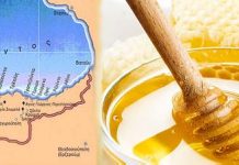 Τα προϊόντα της μέλισσας στη λαϊκή ιατρική των Ελλήνων του Πόντου