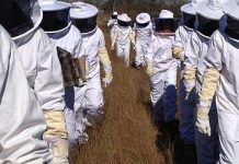 Σεμινάριο για Αρχάριους Μελισσοκόμους στην Λάρισα