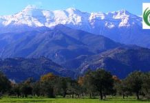 Οικολογική αποτύπωση του Όρους Ταΰγετος για τη διατήρηση της βιοποικιλότητας