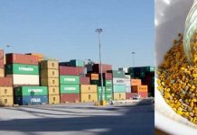 Δέσμευση 10 τόνων κινέζικης γύρης μελισσών στο Ε τελωνείο Πειραιά