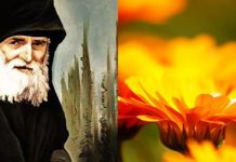 Η μύγα και η μέλισσα… (Γέροντα Παϊσίου)