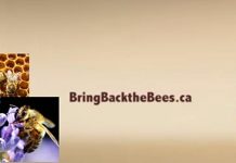 Πώς τα πιο διάσημα δημητριακά βοηθούν στη διάσωση των μελισσών