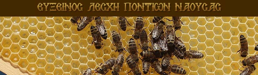 dorean-seminario-melissokomias