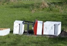 Έκλεβε μέλι και κυψέλες!