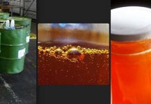 Μάστιγα για τη μελισσοκομία οι παράνομες ελληνοποιήσεις