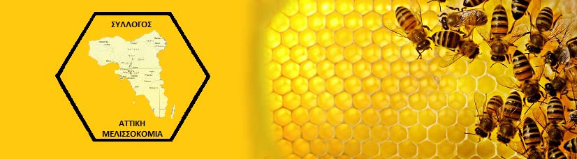 syllogos-attikimelissokomia