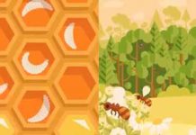 Πως εξηγείται ο θάνατος των μελισσών? (animation)