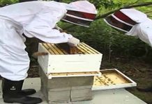 Τοποθέτηση δεύτερου πατώματος την Άνοιξη