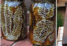 Φτιάχνω κυψέλη σε βάζα γεμάτα αγνό κερί και μέλι!