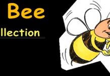 Φάρσες με μέλισσες (Βίντεο)