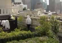 Πολυτελή ξενοδοχεία συντηρούν στις στέγες τους κυψέλες μελισσών (Βίντεο)