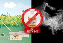 Οι μέλισσες εθίζονται στα φυτοφάρμακα όπως οι άνθρωποι στα τσιγάρα!