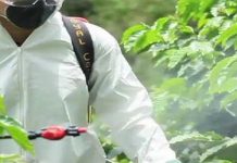 Ορθές πρακτικές προστασίας των μελισσών κατά τη διάρκεια ψεκασμών με γεωργικά φάρμακα