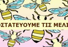 Δελτίο Τύπου για την Προστασία των Μελισσών