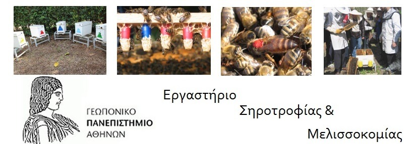 seminaria-vasilotrofias-vasilikos-poltos