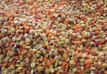 Γύρη: Συλλογή, Επεξεργασία και Διατήρηση