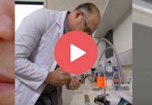 Φοβερή ανακάλυψη για την επίδραση της λέβαντας στις μέλισσες! (Βίντεο)