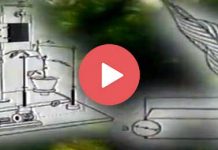 Η μυστική ζωή των φυτών (Βίντεο)