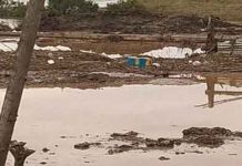 Εκαντάδες μελίσσια πνίγηκαν στην περιοχή των Φαρσάλων