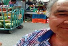 Από άνεργος μηχανογράφος… μελισσοκόμος