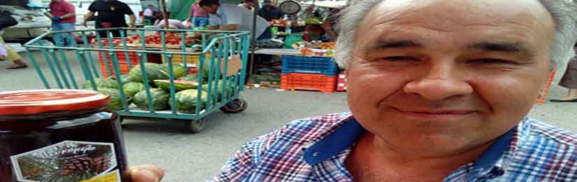 apo-anergos-melissokomos