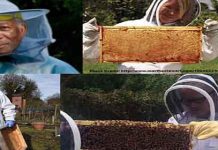 6 Διάσημοι Μελισσοκόμοι