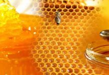 Η ελληνική μελισσοκομία… Σε λίγες γραμμές…