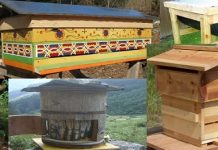 Φτιάχνω μόνος μου κυψέλες: 40 Δωρεάν σχέδια & ιδέες