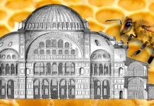 Η μέλισσα.. αρχιτέκτονας της Αγίας Σοφίας