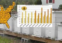 Αμερικάνοι μελισσοκόμοι έχασαν το 44 % των μελισσών τους το 2015-16