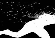 49χρονος εκλεβε κυψέλες με μέλισσες στη Σπάρτη