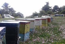 Εποχιακοί χειρισμοί Ιουλίου – Αυγούστου